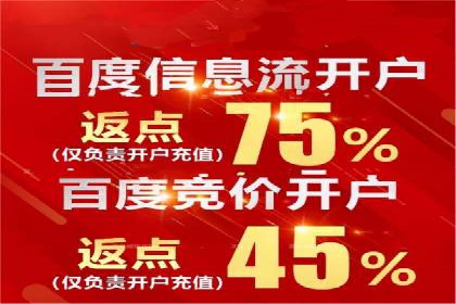 某企业sem账户精准竞价运营全解析